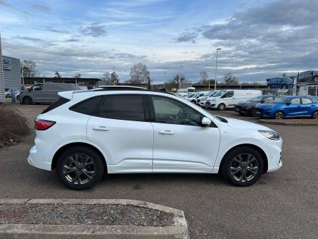 FORD Kuga Kuga 2.5 Duratec 190 ch FlexiFuel FHEV E85 Powershift ST-Line X 5p à vendre à Roanne - Image n°4