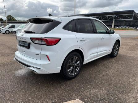 FORD Kuga Kuga 2.5 Duratec 225 ch PHEV Powershift ST-Line X 5p à vendre à Roanne - Image n°5