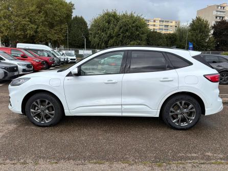 FORD Kuga Kuga 2.5 Duratec 225 ch PHEV Powershift ST-Line X 5p à vendre à Roanne - Image n°8