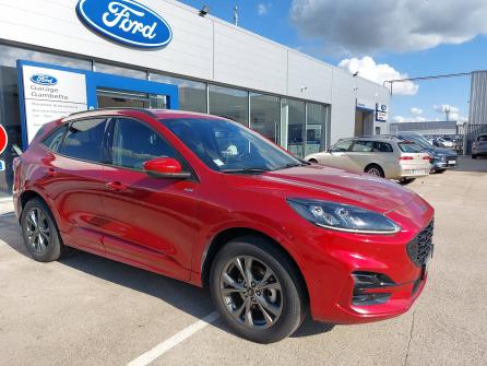 FORD Kuga Kuga 2.5 Duratec 225 ch PHEV Powershift ST-Line X 5p à vendre à Villefranche-sur-Saône - Image n°15