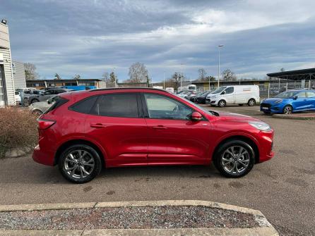 FORD Kuga Kuga 2.5 Duratec 225 ch PHEV Powershift ST-Line 5p à vendre à Roanne - Image n°4