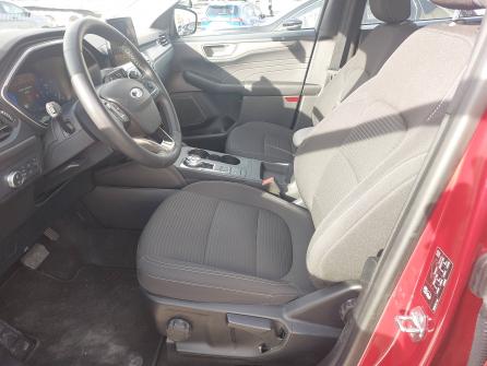 FORD Kuga Kuga 2.5 Duratec 190 ch FlexiFuel FHEV E85 Powershift Titanium 5p à vendre à Villefranche-sur-Saône - Image n°6