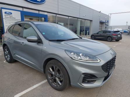 FORD Kuga Kuga 2.5 Duratec 190 ch FlexiFuel FHEV E85 Powershift ST-Line X 5p à vendre à Villefranche-sur-Saône - Image n°12